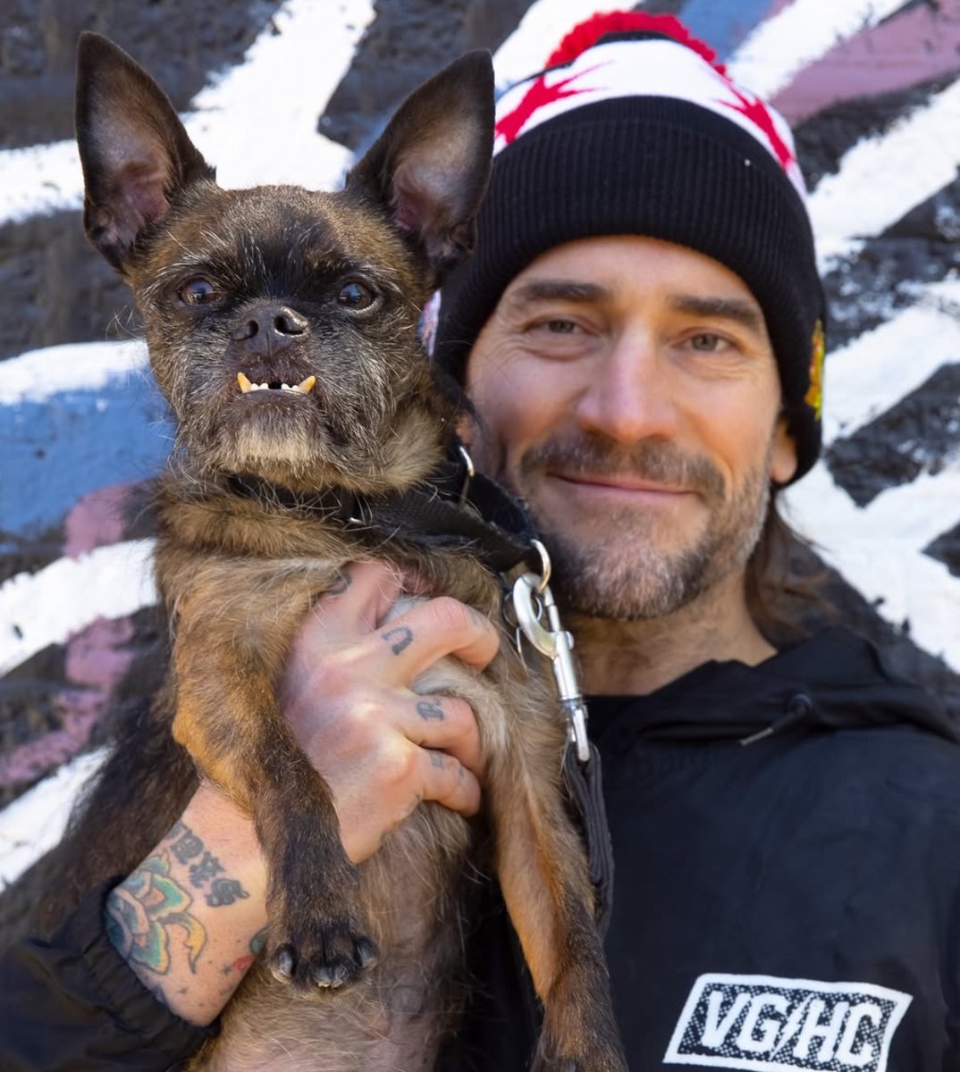 WrestlingWorldCC tweet media