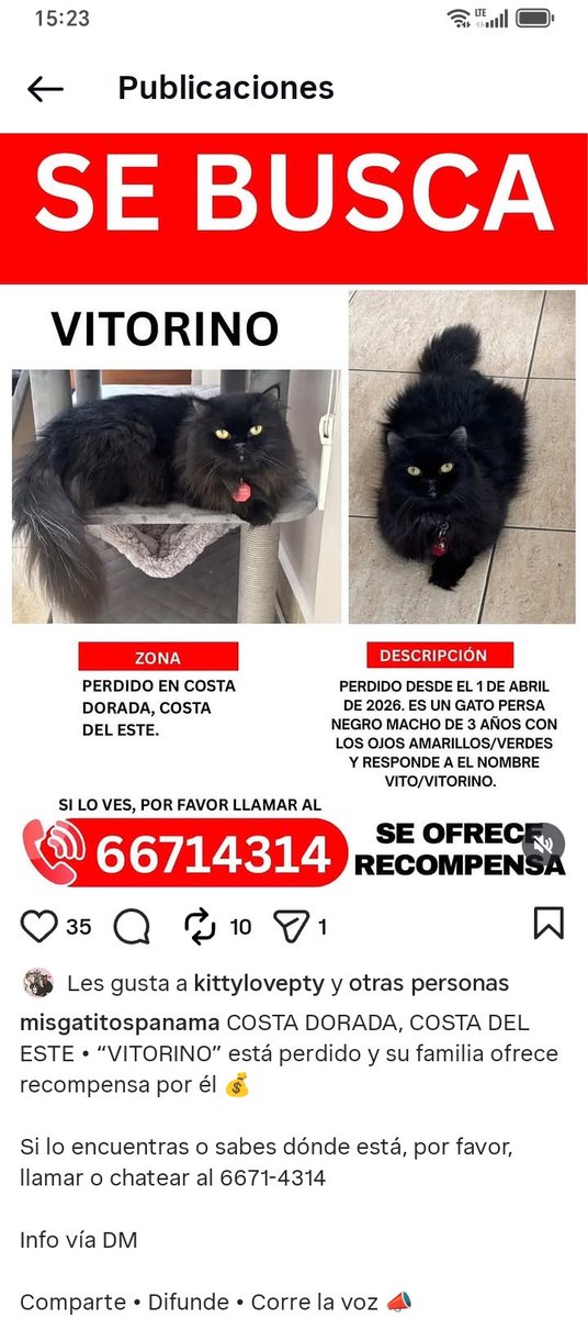 Nacelys González tweet media