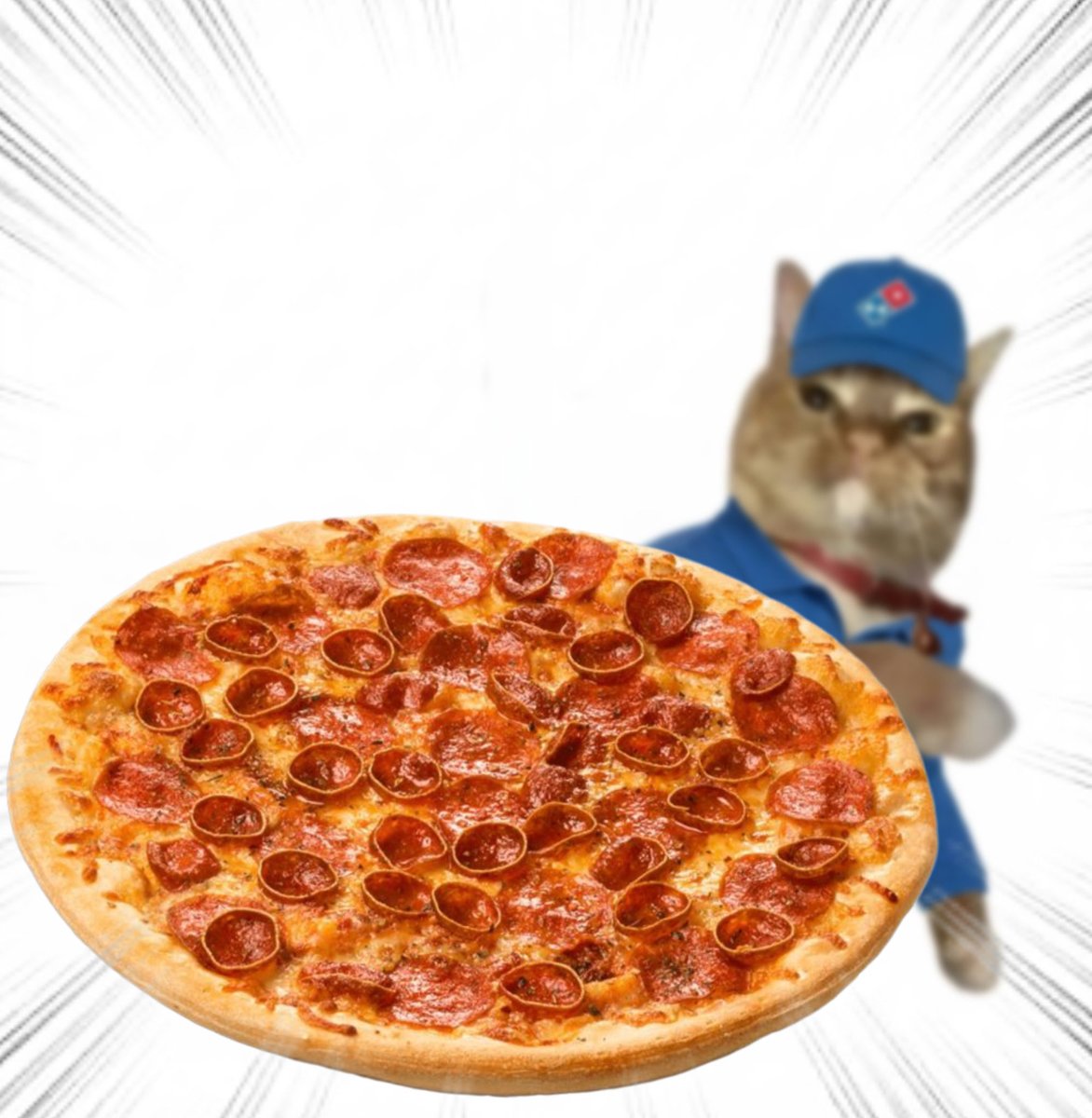 Throwing Things Daily tweet media