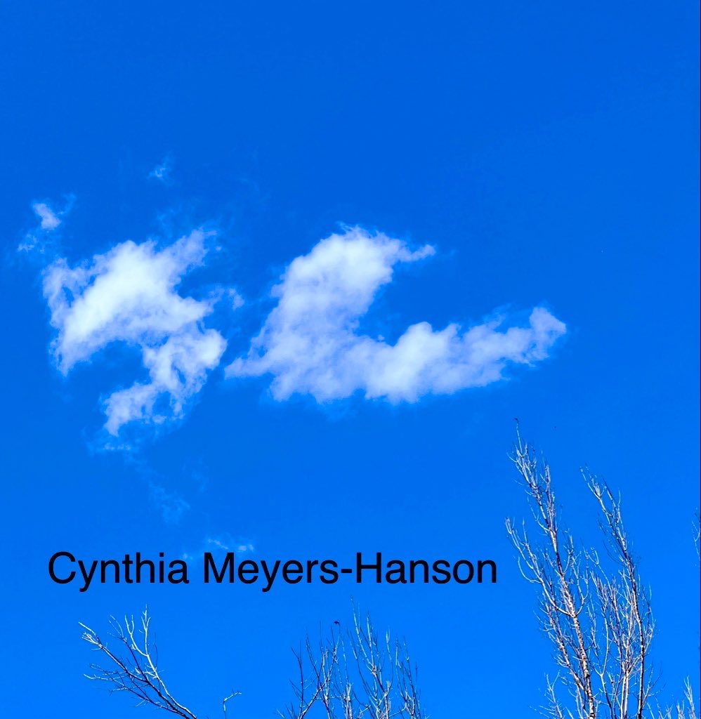 Sky-Princess-Cindy tweet media