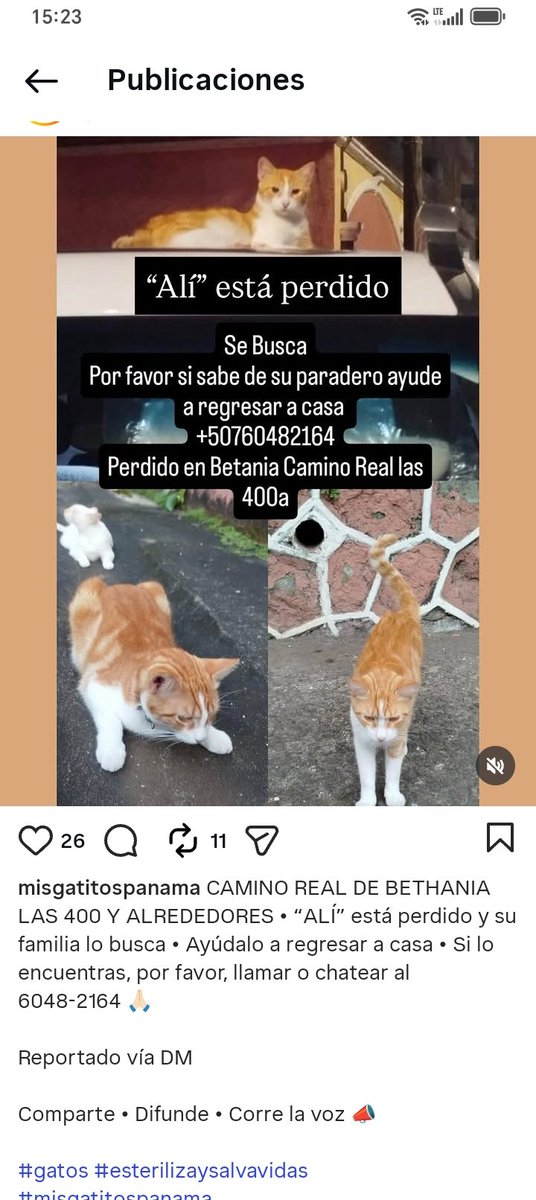 Nacelys González tweet media