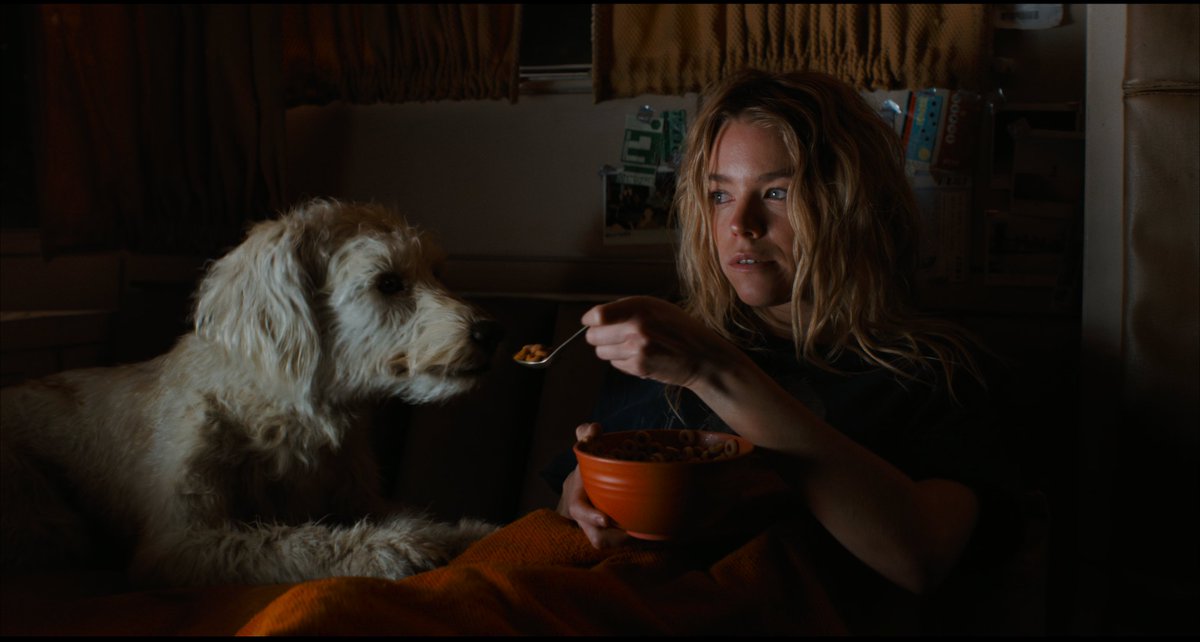 DCxperience⚡️ tweet media