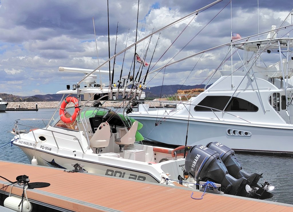 Andres Brenes tweet media