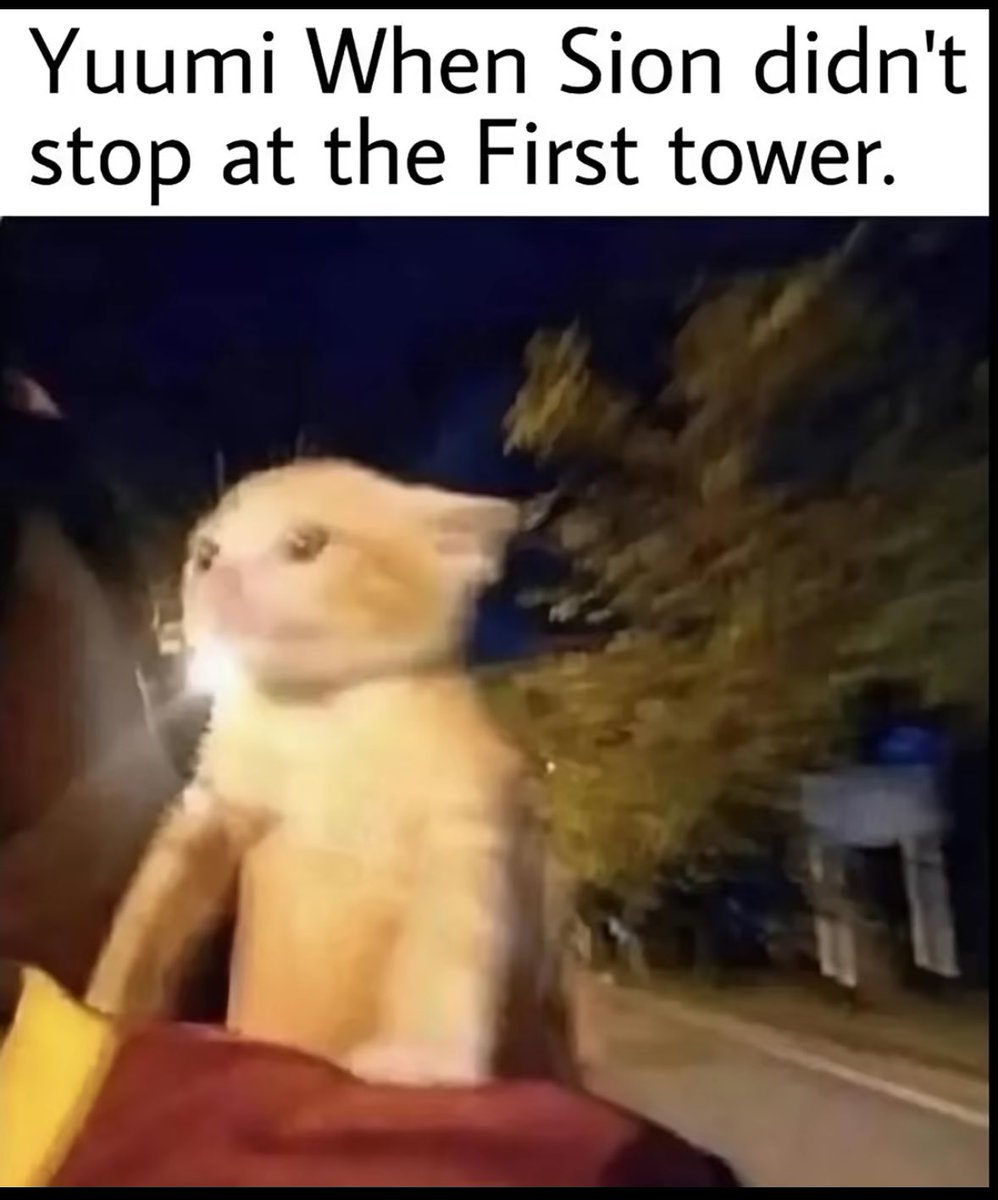 Free League Memes tweet media