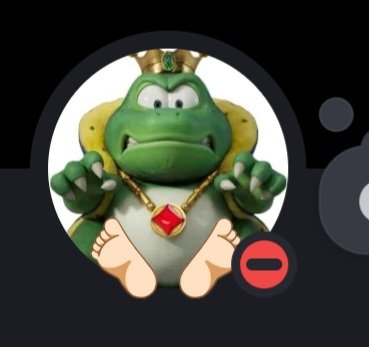 proto ⛺️ tweet media