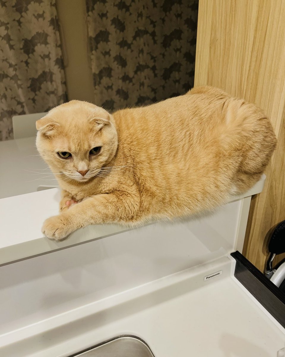 Marron's TV tweet media