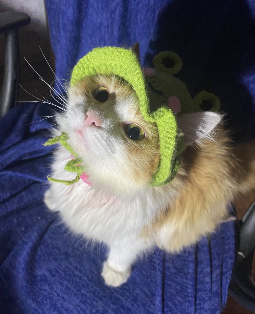 • Bosska • | comms open tweet media