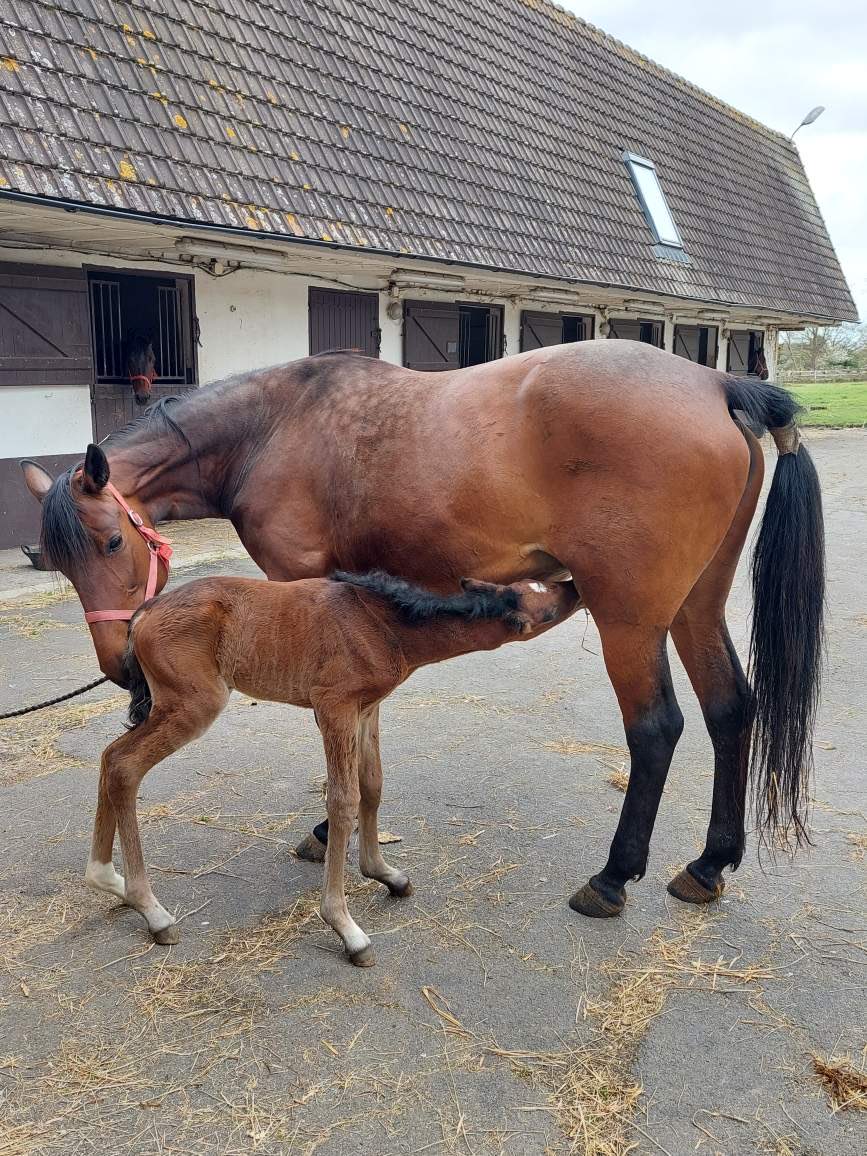 Varmt välkommen till världen fina tjej! Efter Mellby Fashion och Italiano Vero!
