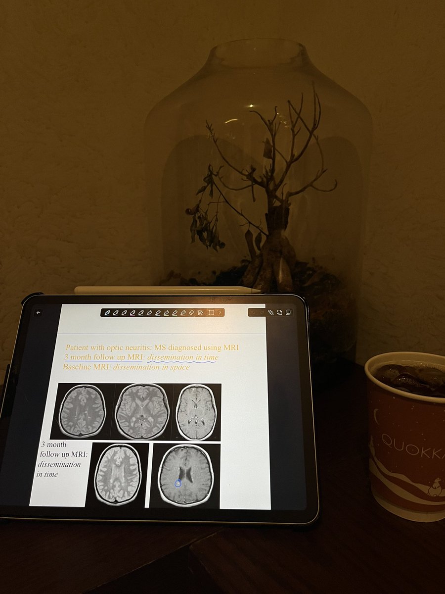 Hamad Saleh 🫀 tweet media