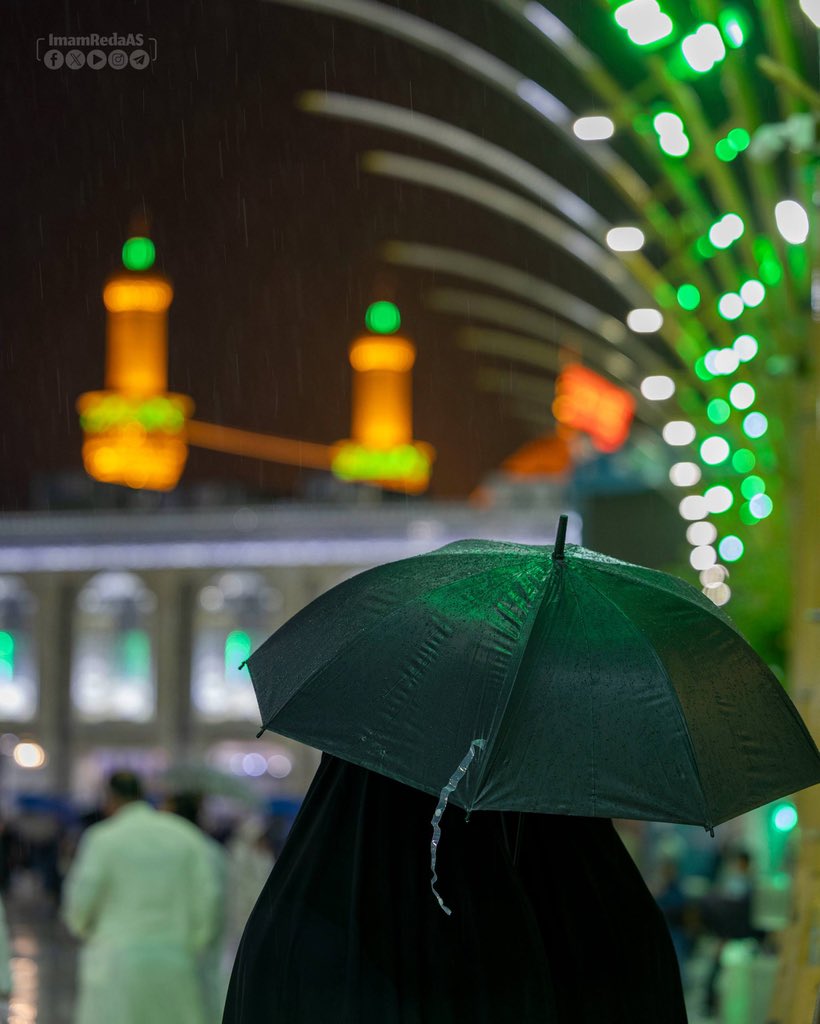 العتبة الرضوية المقدسة tweet media