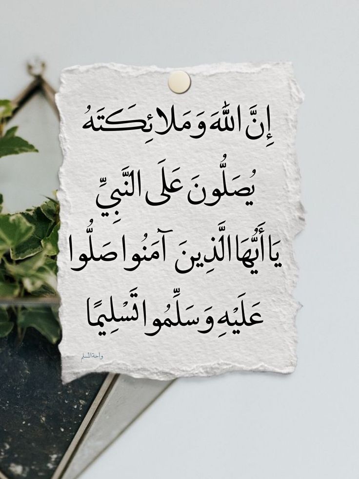 Abu Sand Al-Zubaidi tweet media