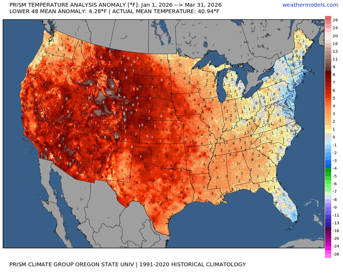 Stephen Eckhardt ☀️ tweet media