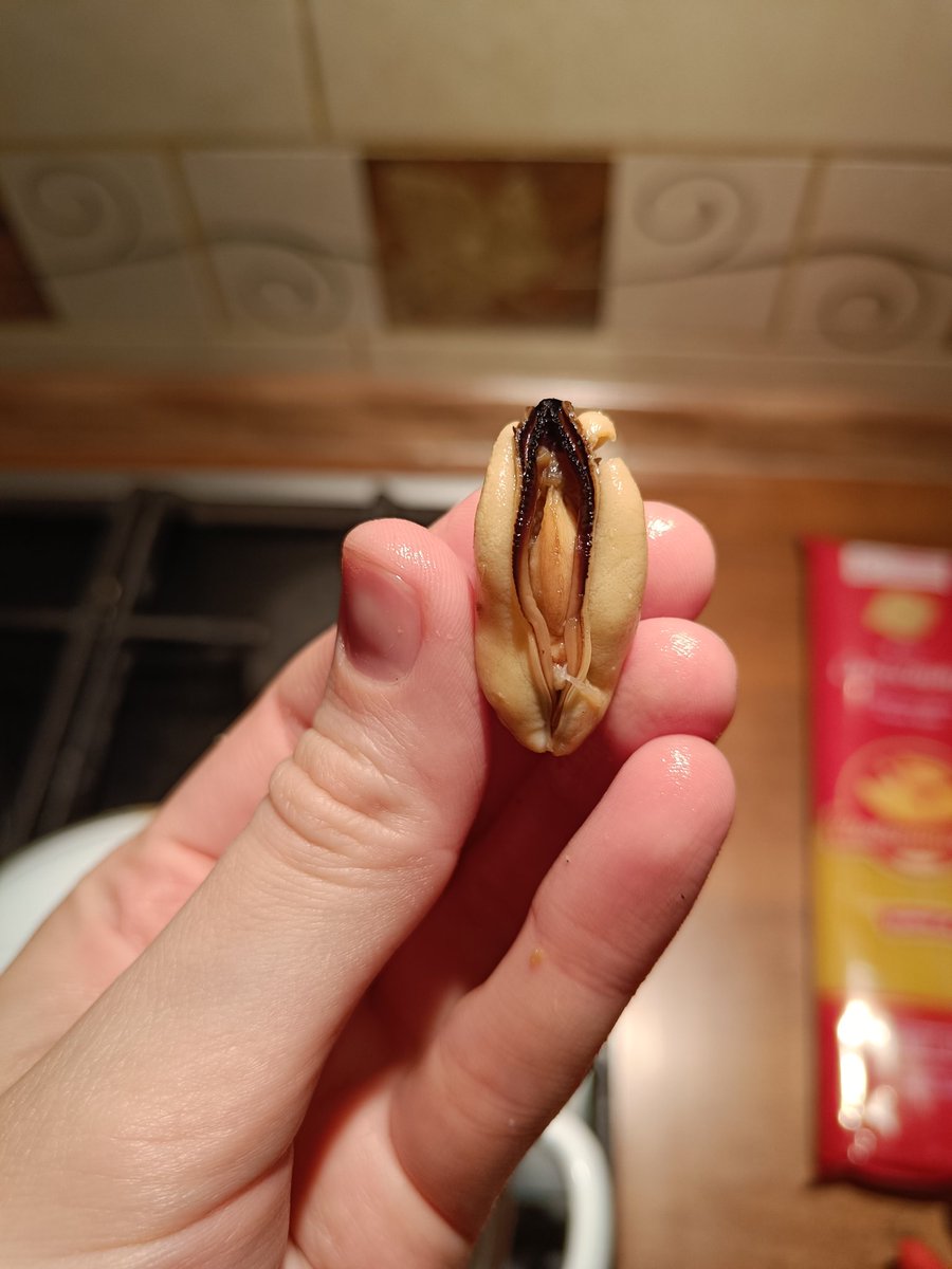 Нинон tweet media