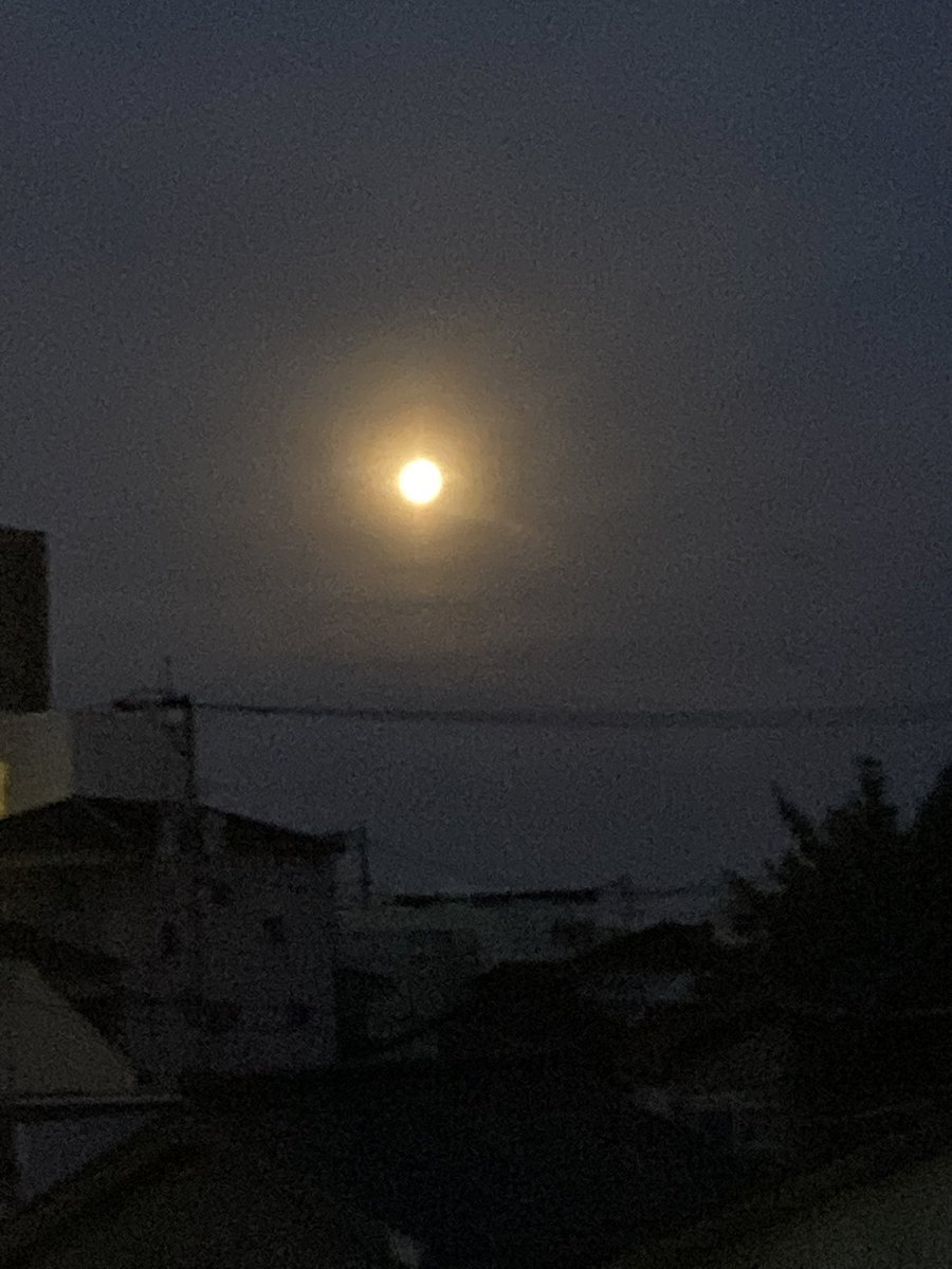 えいちん。 tweet media