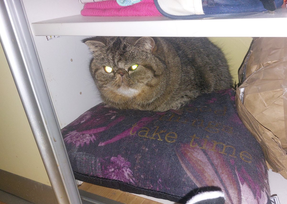 MuckMonarch tweet media