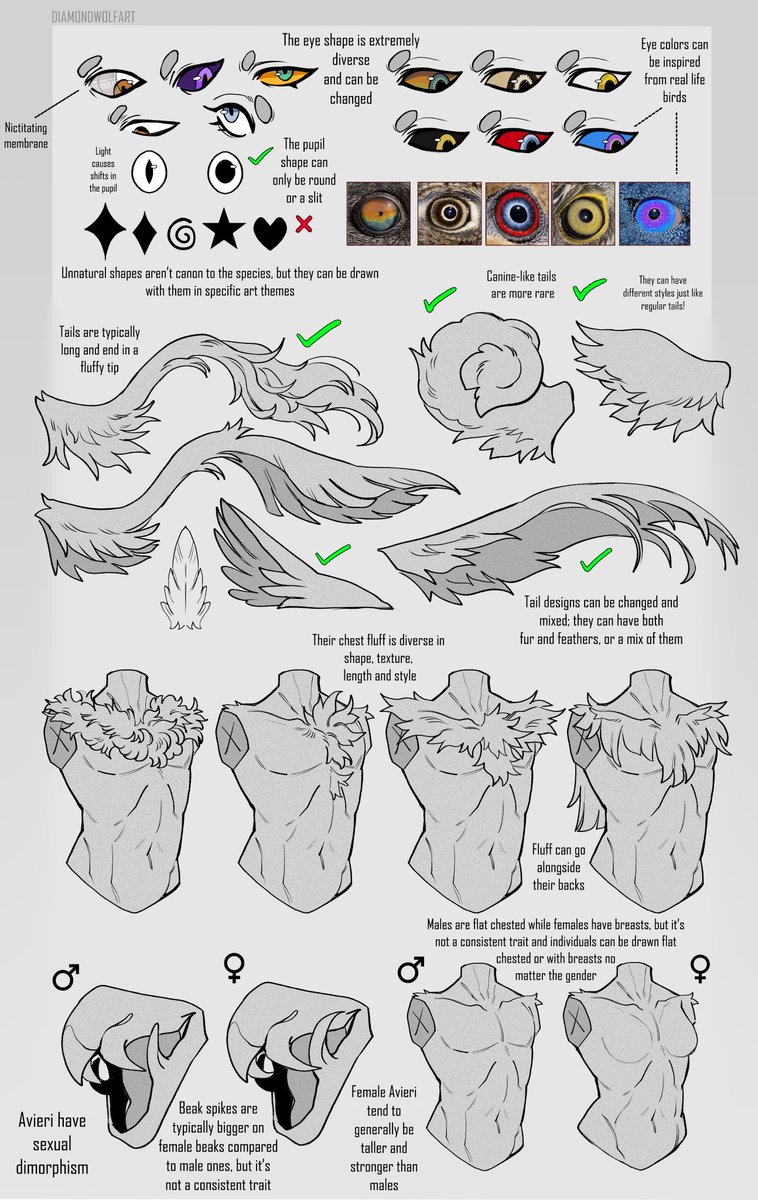 AVIERI OPEN SPECIES REFERENCE 2026

Did some Avieri TLC! I redrew some areas while changing a few design elements; the guide should feel much more complete now!

1/2