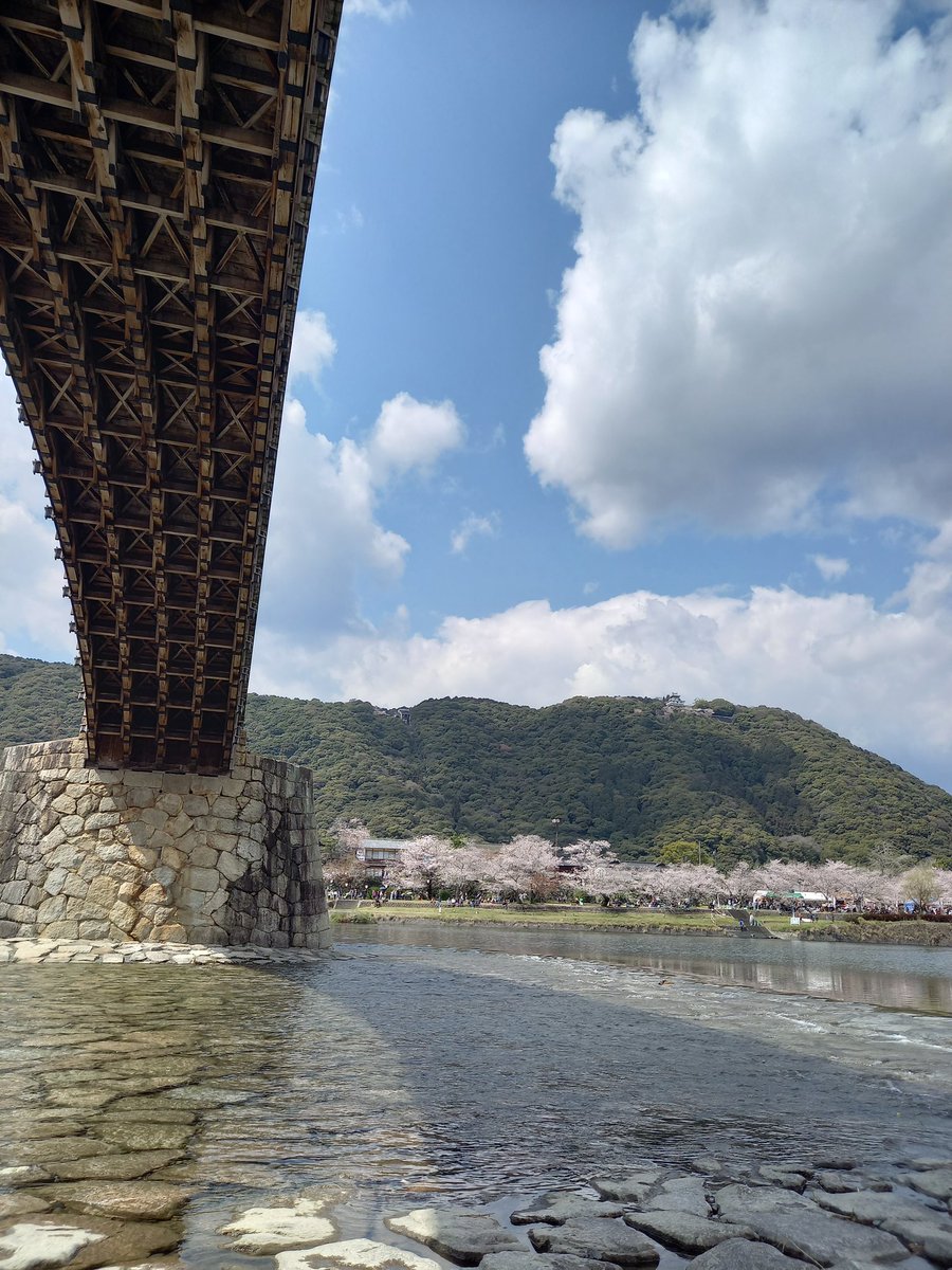 きんたいきょうこ tweet media