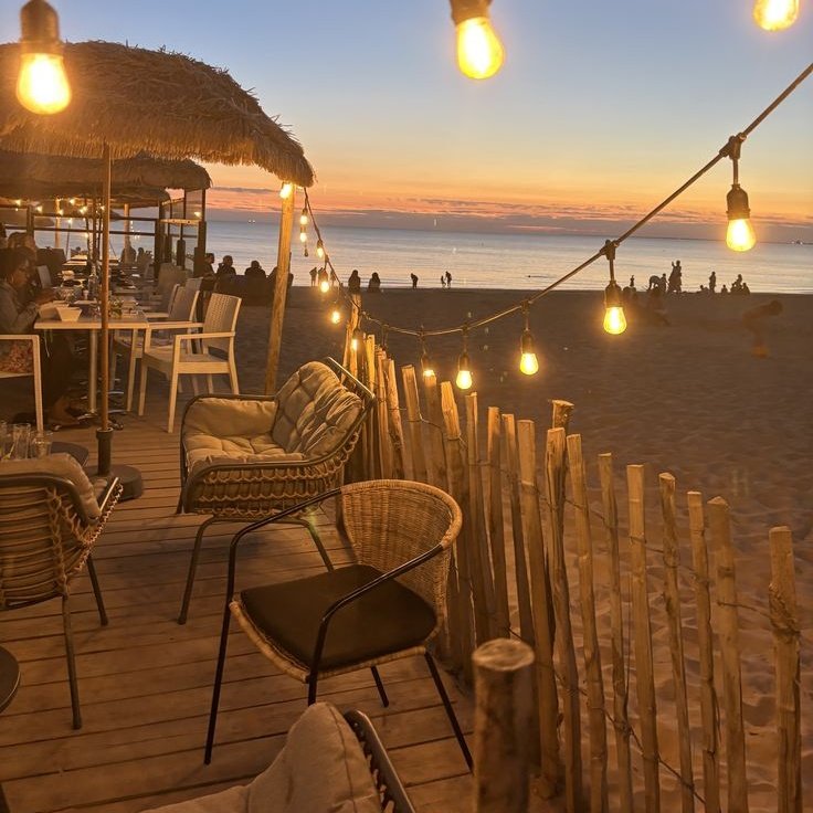 duang with bibi 🦎 tweet media