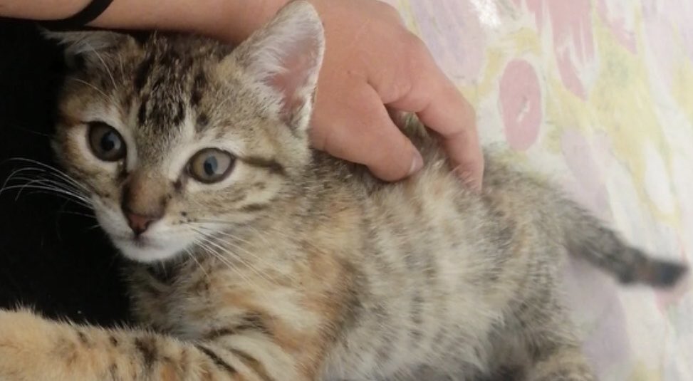 Miranda la de la banda 🌅 tweet media