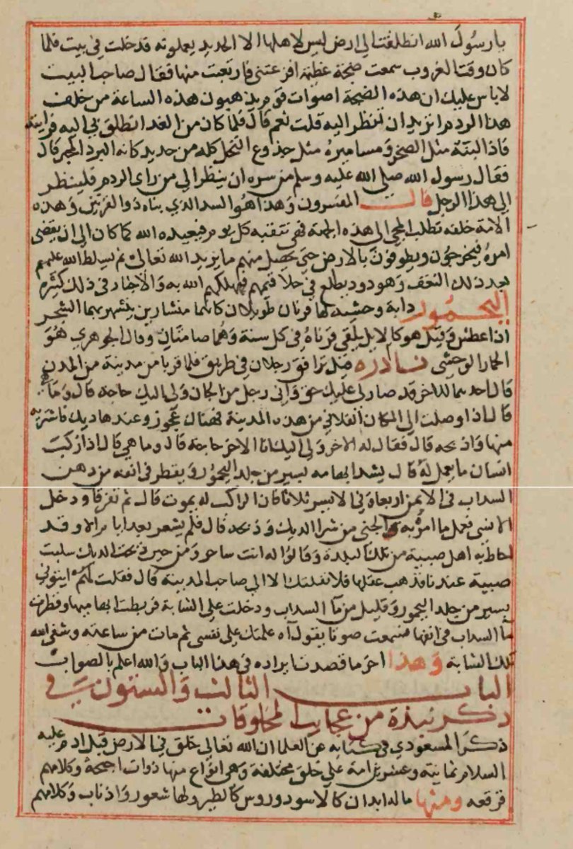 فهد الطليسي 𐩰𐩠𐩵|𐩱𐩡𐩷𐩡𐩺𐩪𐩺 tweet media