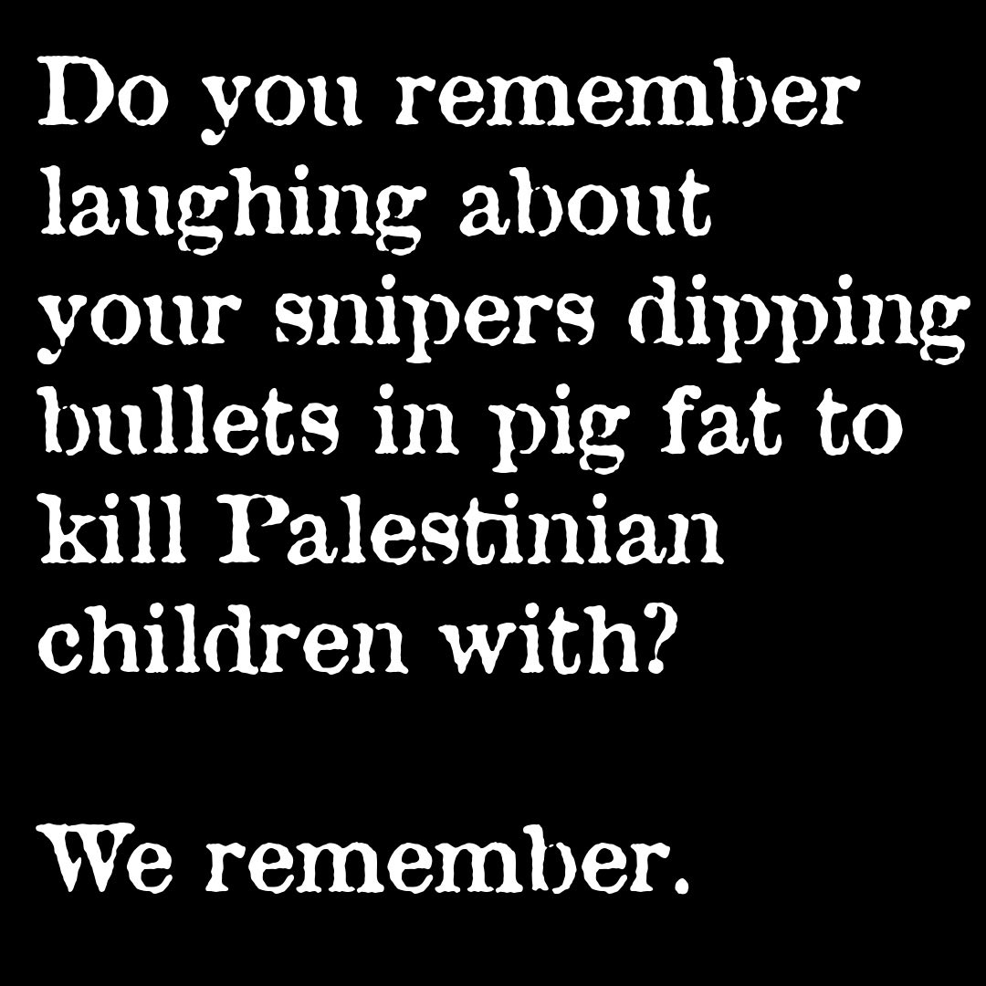 Saint Charlie🇵🇸🦈🐝™️ tweet media