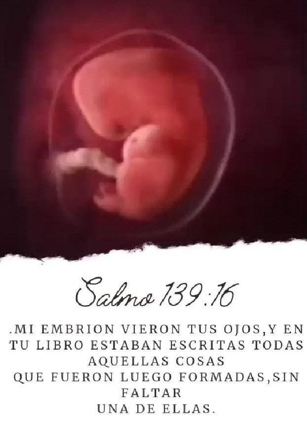 César A. LLaguno G.  🇵🇪 tweet media