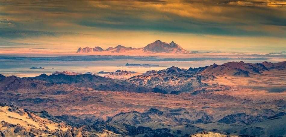 Моника tweet media