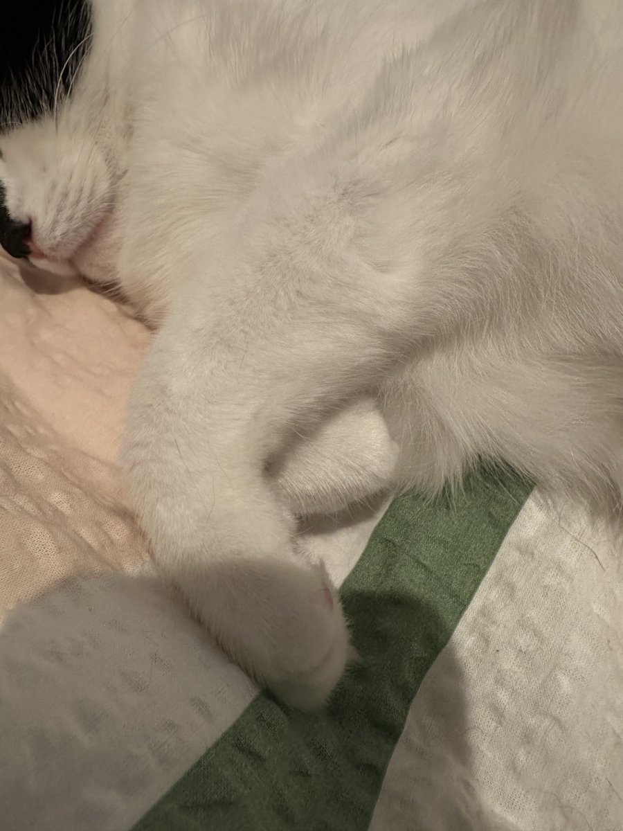 rin sticks w txt ⋆⟢ tweet media