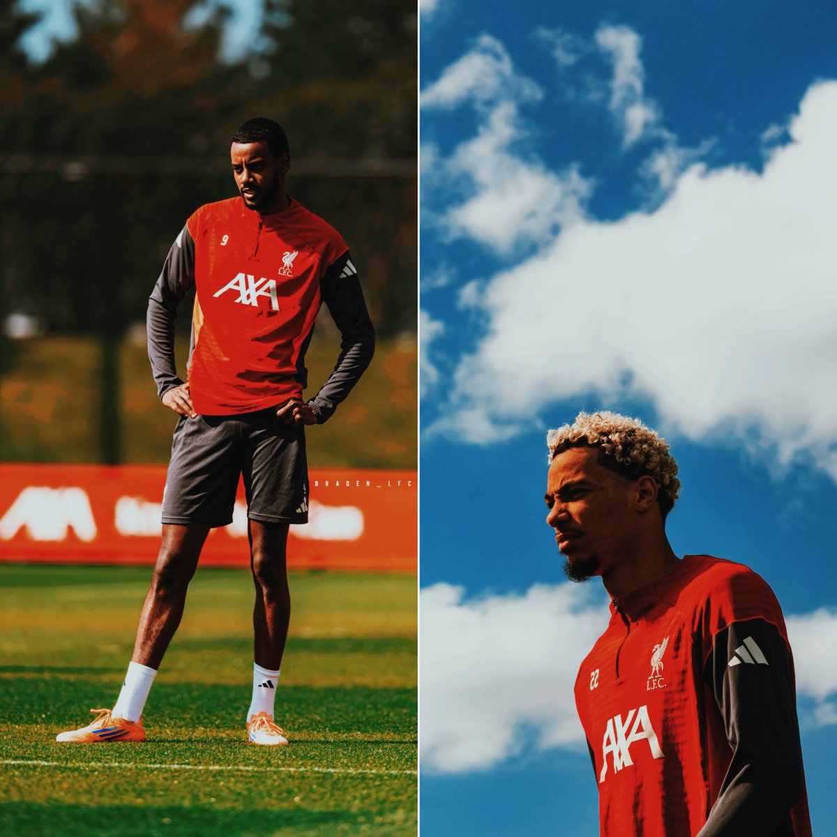 Braden (Fan) 🐦‍🔥 tweet media