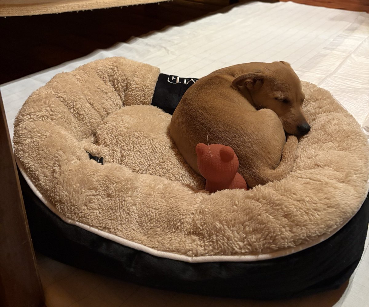 𝑆𝑒𝑟𝑒𝑛𝑎 tweet media