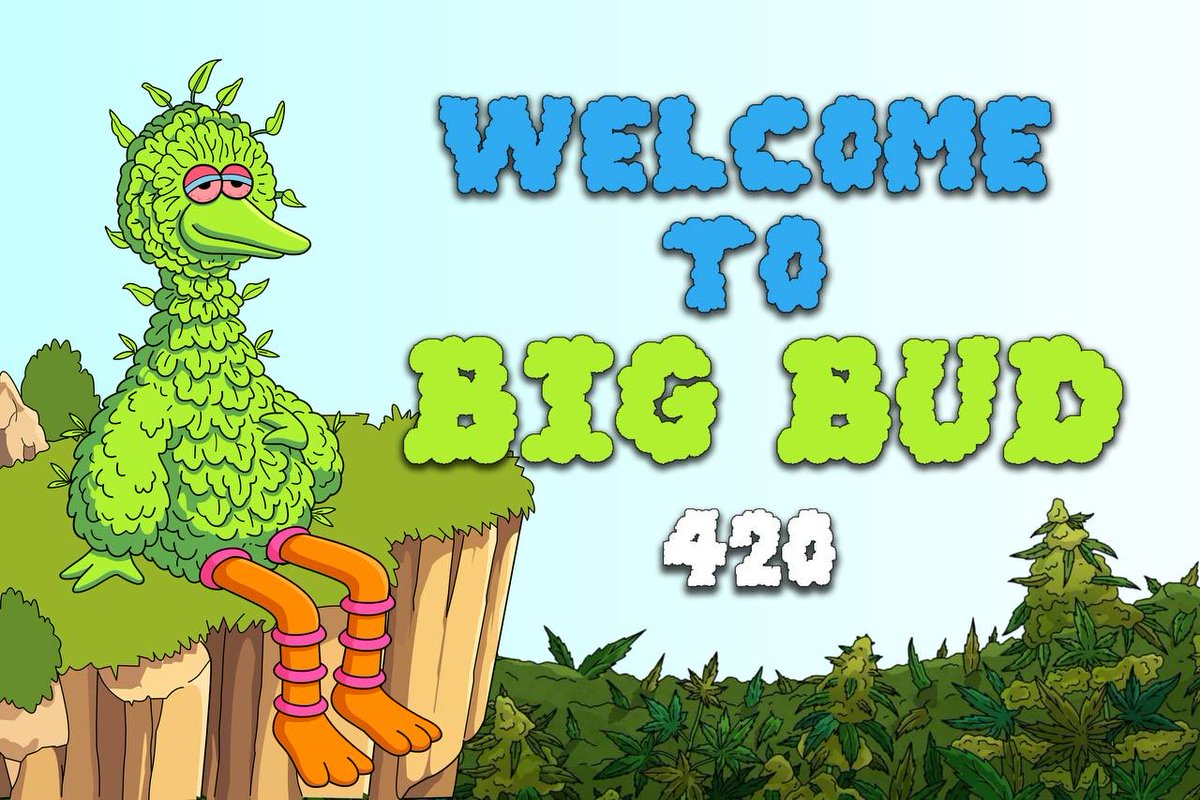 bigbud tweet media