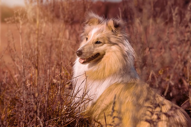 Tammy Miller tweet media