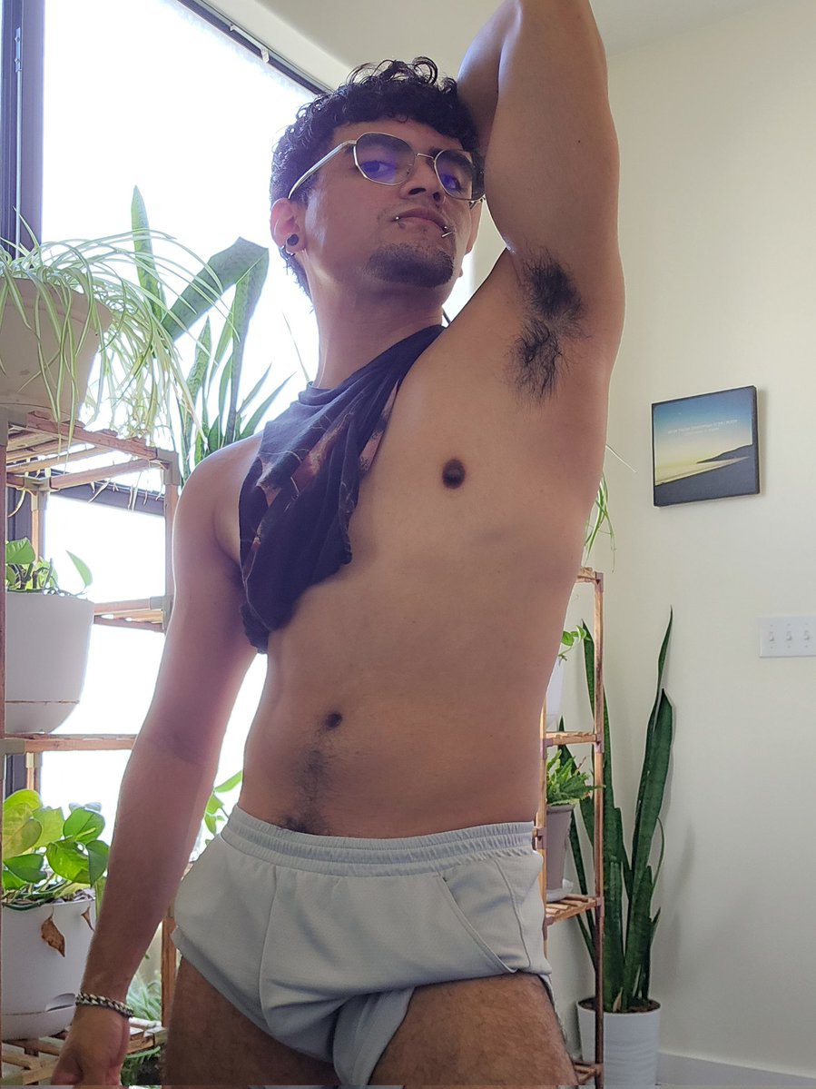 Dominick tweet media