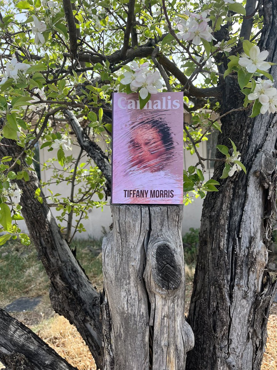 Nictitating Books tweet media