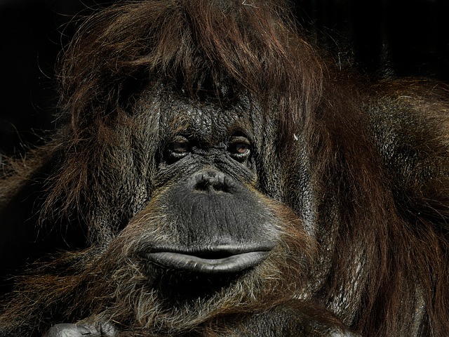 上岡正明@著書31冊×10億投資家×登録者55万人YouTub@Michelle Mondragon tweet media