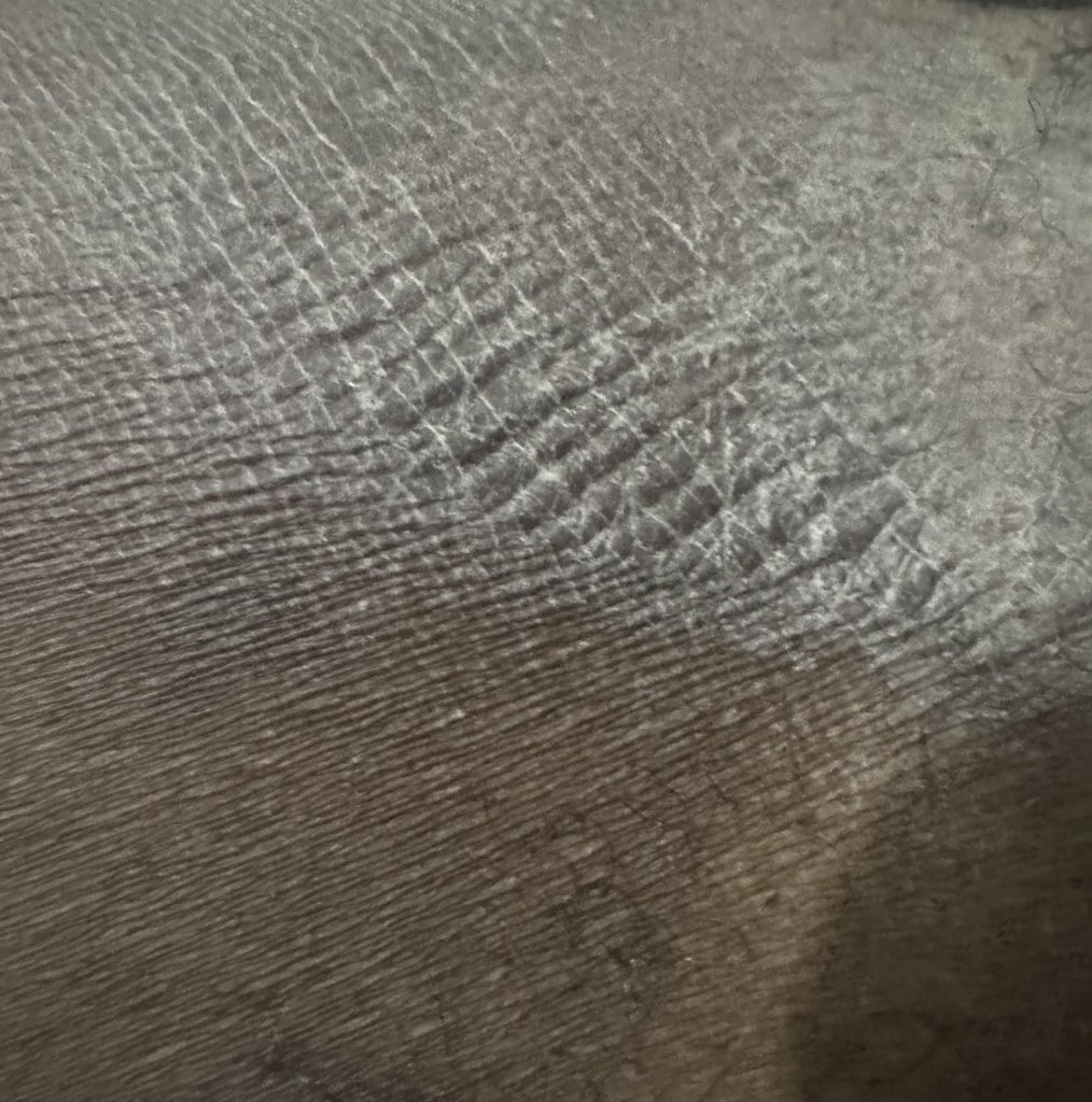 BIG Emirate tweet media