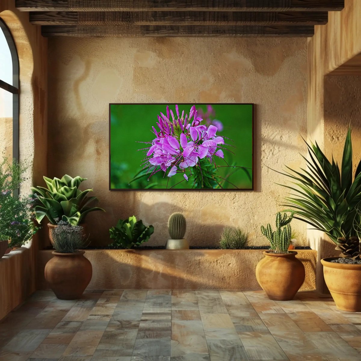NateHartPrints's tweet image. Fresh after the rain.

Raindrop Radiance – Pink Blossom Photography Print captures delicate detail, color, and the feeling of spring.

printsbynatehart.com/b/APsZ1

#NaturePhotography #FloralArt #WallArt #PrintsByNateHart