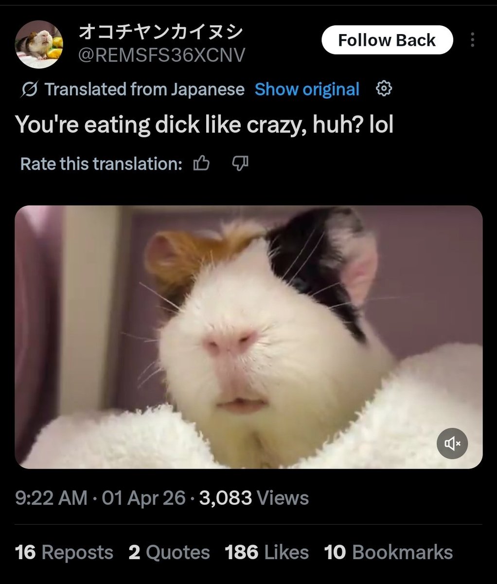 Kona and Suba tweet media