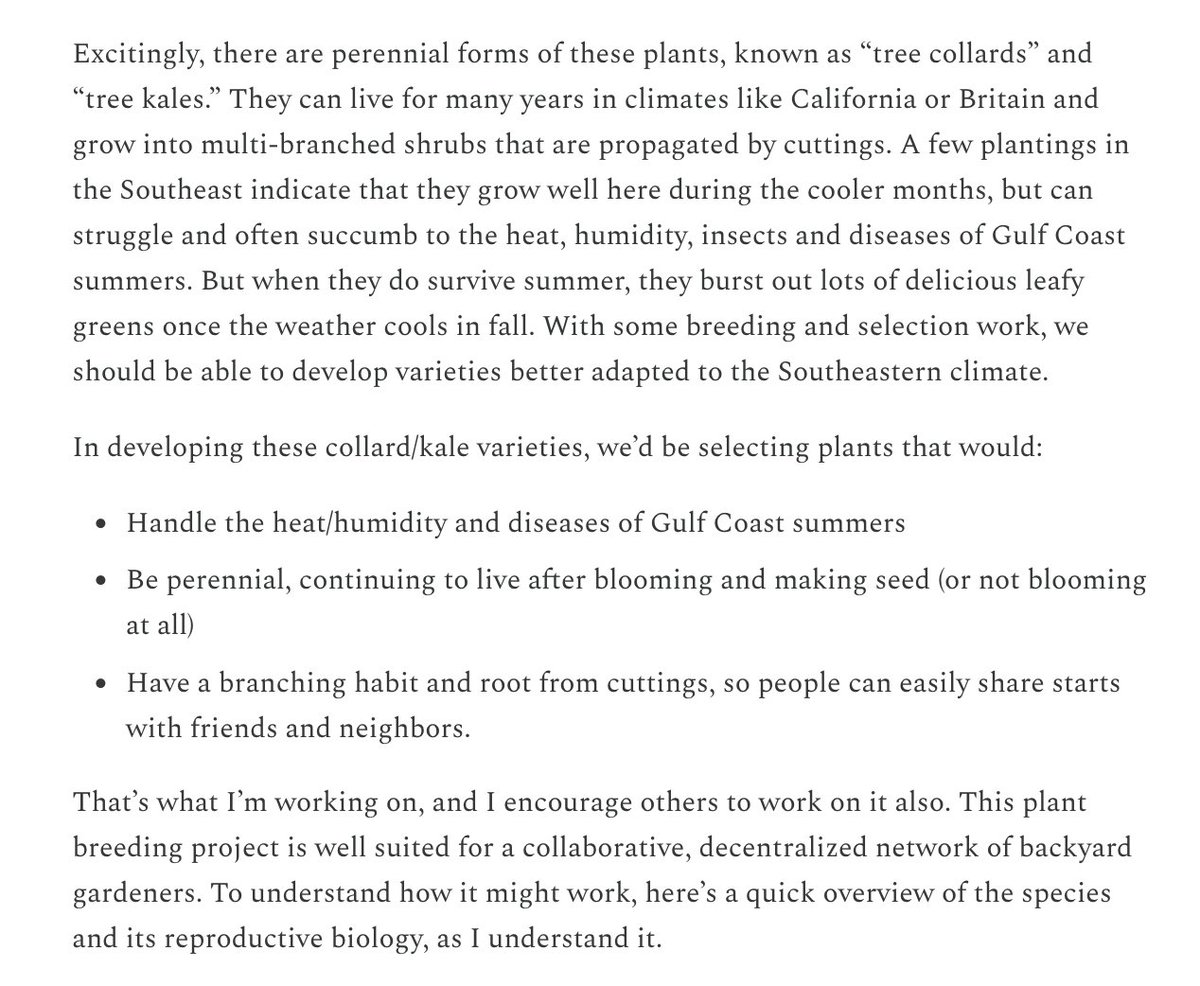 Plant trees•destroy lawns•decommodify food tweet media