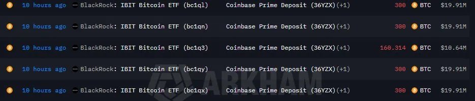 Dex 🕸️ tweet media