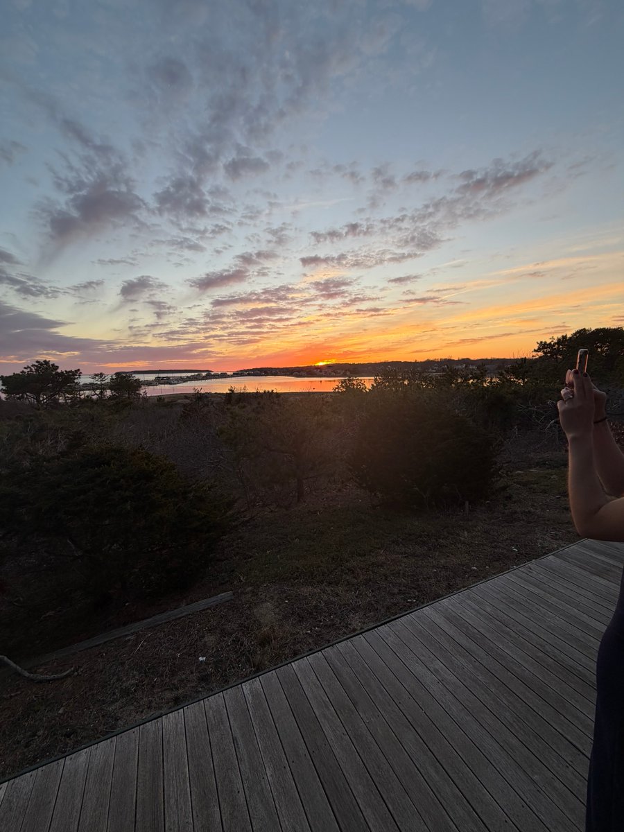 constance mccashin tweet media