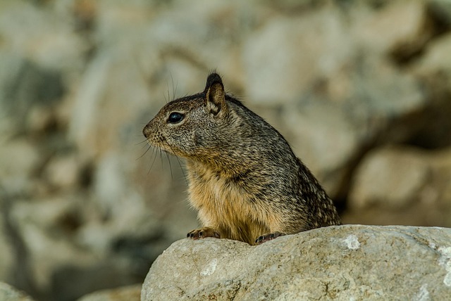 Michele Haaby tweet media