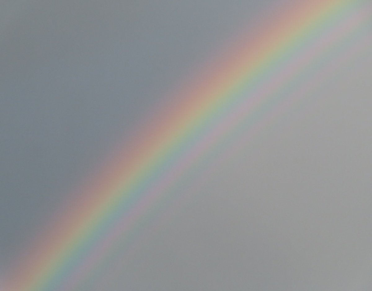 川瀬宏明 tweet media