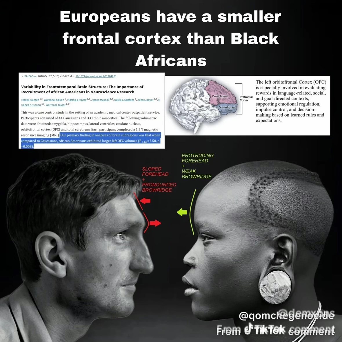 Mythicals tweet media