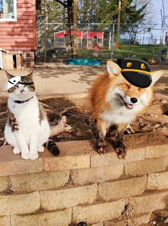 kimkamsilove tweet media