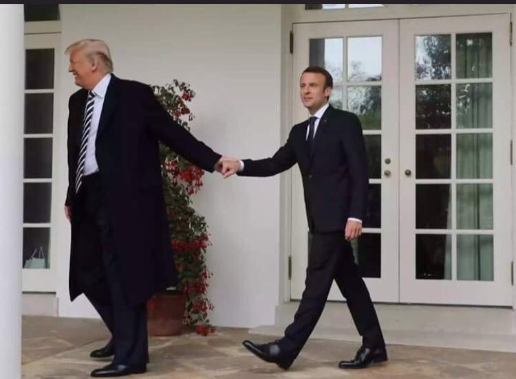 NéoDiss 🇫🇷 tweet media