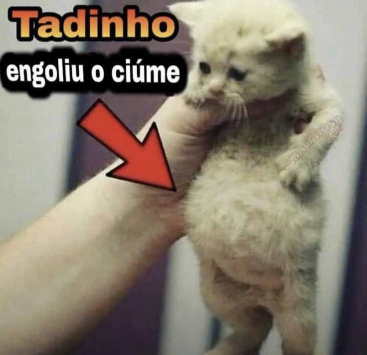 mara .ᐟ tweet media