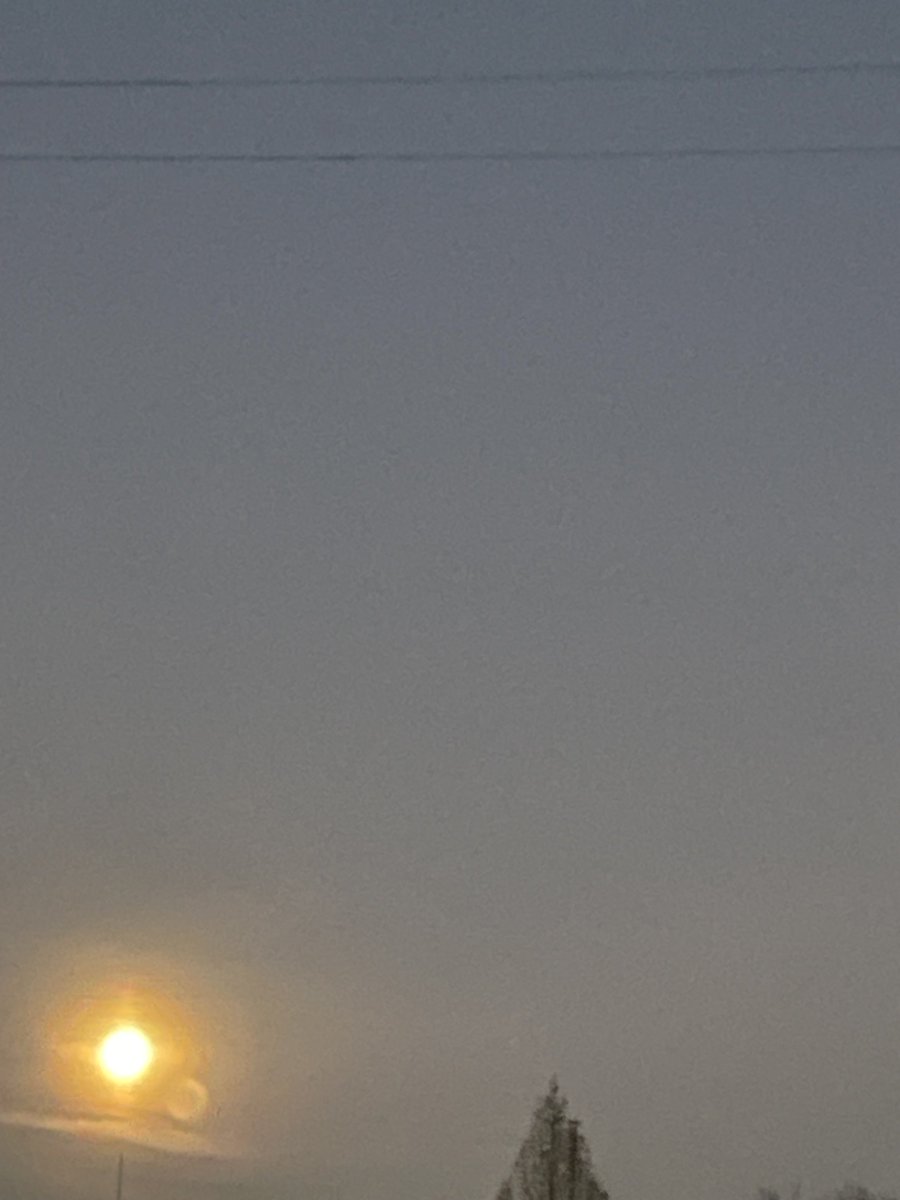 おはよう😊昨日は雨だったのでランニングお休みのため運動不足感。本日は目覚まし前に目が覚めて早めにランニングスタート。かなり肌寒くてウォーミングアップのウォーキングでは寒く感じた。考える事が多過ぎて頭の中がいっぱいで音楽と走りに集中できなかった。16.23キロ。良きかな。