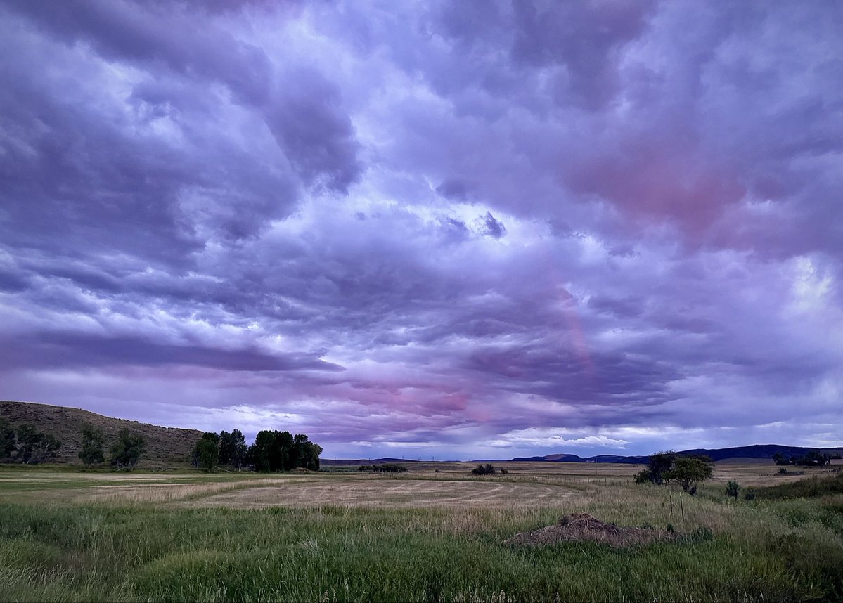 D Miller tweet media