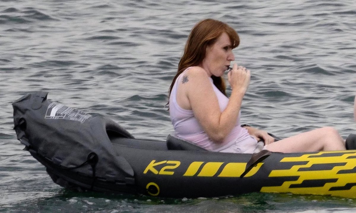 Dilyn the No.10 doggy (parody) tweet media